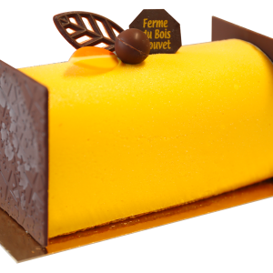 Bûche Mangue / Passion