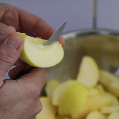pomme glace bois louvet